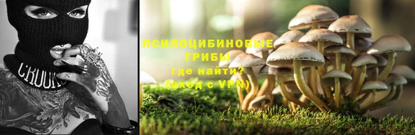 стафф Абдулино