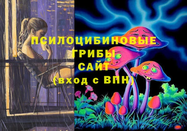 винт Алзамай