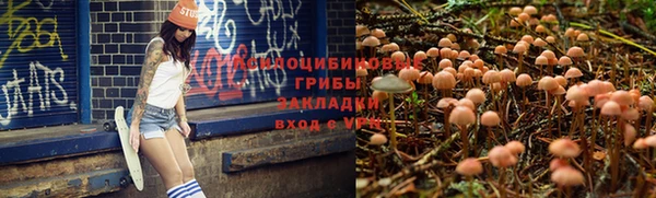 амф Абаза
