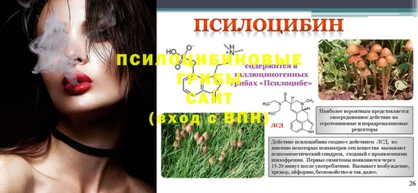 амф Абаза