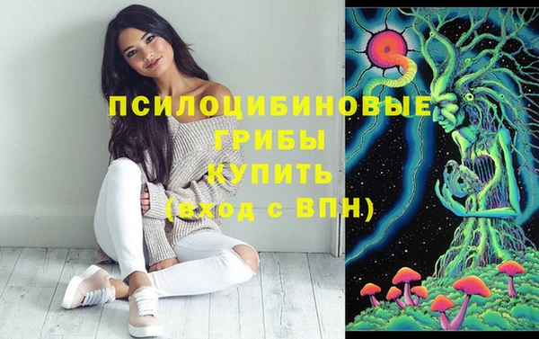 дживик Алексин